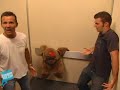 Elevator - Lights Out 2