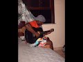 Forfun e Darvin-Apague a luz