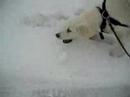 Loffe i trysil 1 Loffe i trysil 1