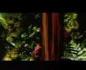 Fatboy Slim - Right here Right now