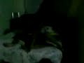 banda-s-a-vacilo-da-lua-.html