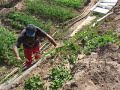 Agricultura Ecologica (2)
