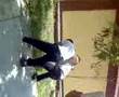 kresnick vs pecham dos