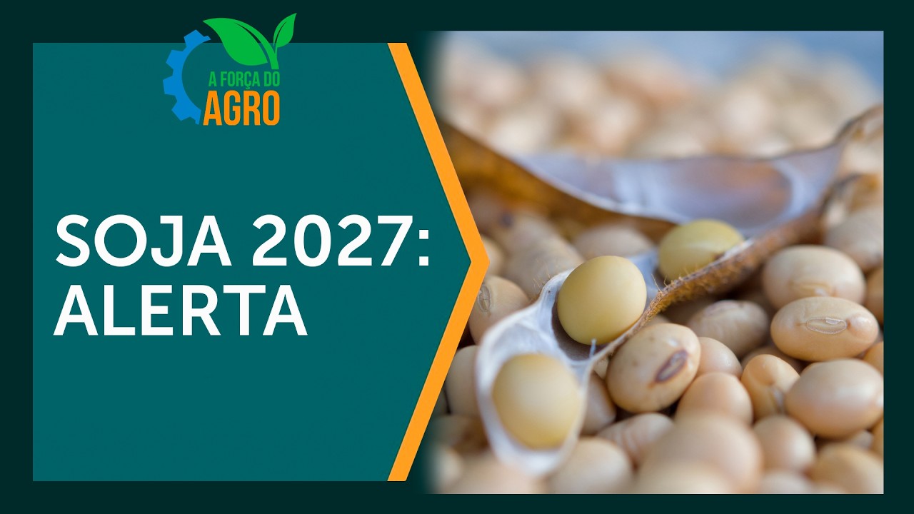 El Niño afetará a safra de soja 2026/27 no Brasil? | A Força do Agro, com Joice Maffezzolli
