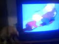 A mi gato le cae mal Mr. Burns(Simpsons) A mi gato le cae mal Mr. Burns(Simpsons)