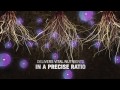 Uniform Nutrient Distribution
