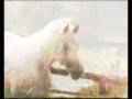 videos de Abu Arab 2008