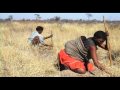 The Heart of Dryness by James Workman
