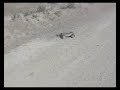 rc buggy jump