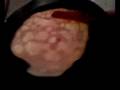 videos de C0MMENT FAiRE CRiER DES CREPES :P