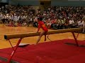performance 
hubei gymnastic team in 2008 hk yuenlong sports festival