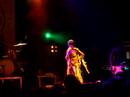 yeah yeah yeahs. gold lion.