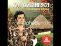 Invitati Alpha Band Constanta - .wmv