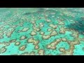 The Great Barrier Reef and other natural wonders of Australia - David Attenborough - BBC