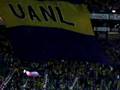 Bandera Tigres
