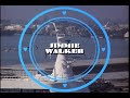 Gavin MacLeod video 3