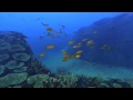 PS3 海洋假期 ~堡礁秘辛~ - 宣傳影片