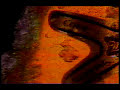 Thumbnail #3