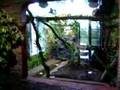 My Terrarium