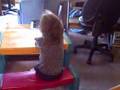 Bonnie getting to a child table