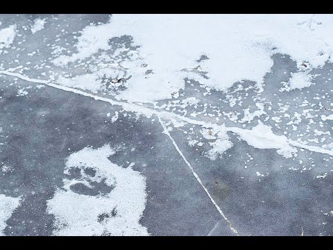Поиски мужчин, провалившихся под лёд в Петриковском районе, временно приостановлены видео