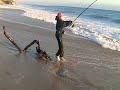 Black Tip Martin Black Tip Martin