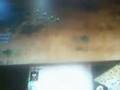 Age of empires 2