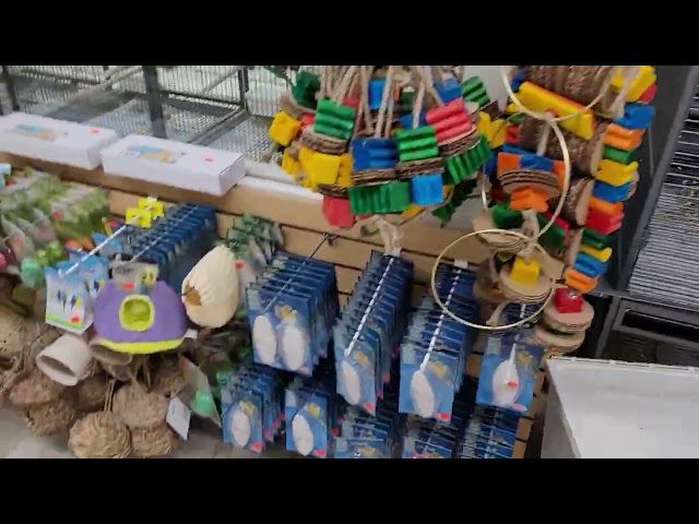 SUMMER SALE ZOO-MAX PARROT TOYS  AVAILABLE CENTRAL PET TORONTO ! in Birds for Rehoming in City of Toronto