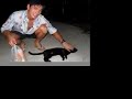 our-honeymoon.html
