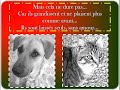 une triste realite...
