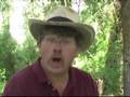 Pt 13 The Biblical Context