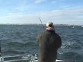 Poacher Sportfishing Poacher Sportfishing
