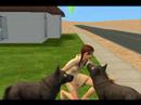 How to Make Sims Werewolves and Cure Them on The Sims 2.