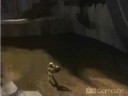 Halo 3 Hiding Last Resort