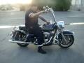 shotgunshock on harley davidson roadking