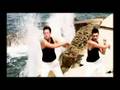 Michael Wendler - Echolot Offiielles Musikvideo