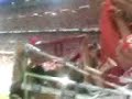final copa del rey   himno del sevilla y vuelta al bernabeu