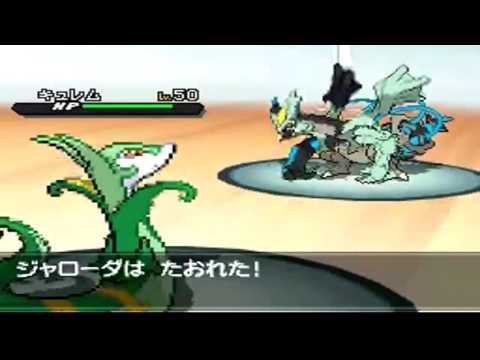 POKEMON