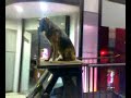 Only in Greece