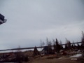 Shooting geese outside my dad's house