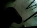 MOV00207.MP4