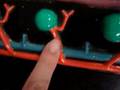 Nephron Model *see info*