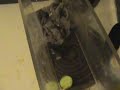 better mousetrap 4/6 better mousetrap 4/6