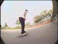 Lakai Fully Flared - Mike Caroll