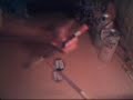 oRix Solo Video1st oRix Solo Video1st