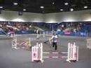 AKC Agility Invitational -  Shar - Pei