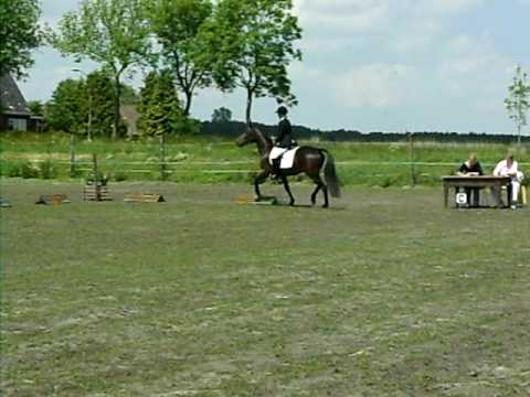 Eerste wedstrij Loran (draver