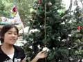 Sai  Gon - New Year  07