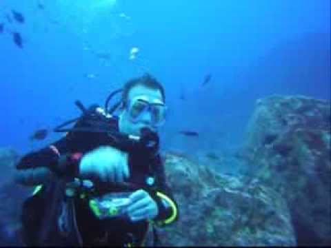 Diving in Ascension Island