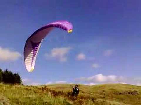 fly11